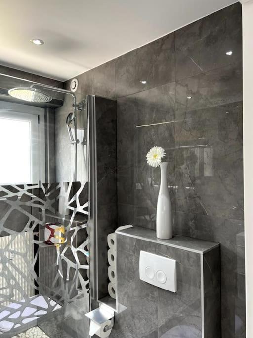 Superbe Appartement Lumineux Avec Parking Gratuit Wintzenheim Bagian luar foto