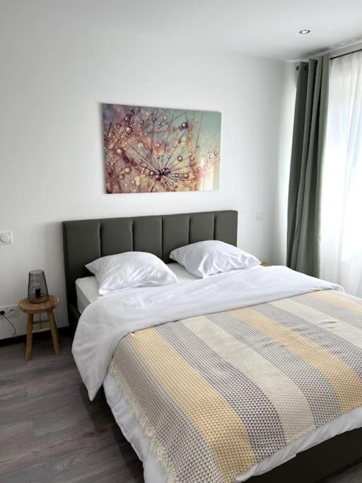 Superbe Appartement Lumineux Avec Parking Gratuit Wintzenheim Bagian luar foto