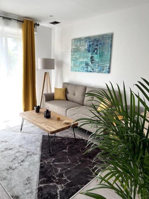 Superbe Appartement Lumineux Avec Parking Gratuit Wintzenheim Bagian luar foto